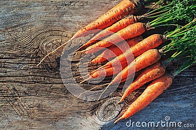 Fresh Harvested Carrot on Wooden Table in Garden. Vegetables Vitamins Keratin. Natural Organic Carrot lies on Wooden background Stock Photo
