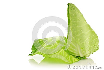 A fresh harvested green pointed cabbage Stock Photo