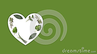 Fresh harvested herbs on white create shape of heart on green background Stock Photo