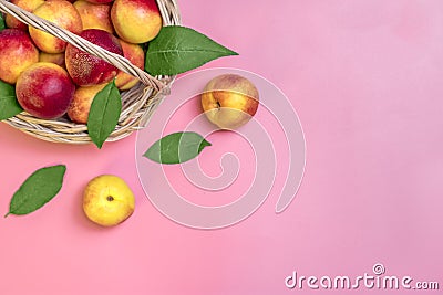 Fresh harvested nectarines, plate, leaves lies round on pink background Vegetables vitamin Keratin Natural Peach Organic Stock Photo