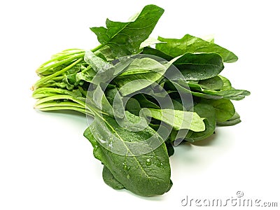 Fresh harvested spinach isolated on white Stock Photo