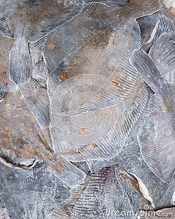 Fresh headless flounder for sale, close-up Stock Photo