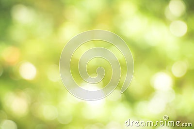 Fresh healthy green bio background with abstract blurred foliage Stock Photo