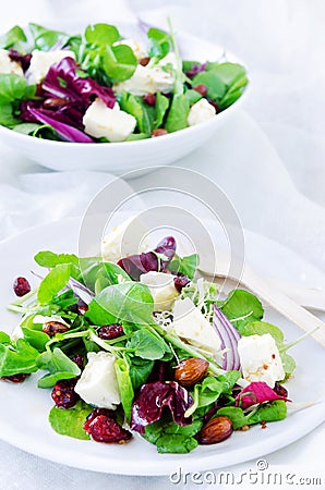 Fresh healthy green salad for lunch dinner Stock Photo