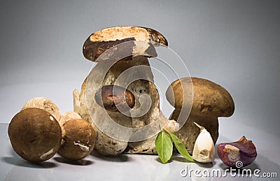 Fresh healthy happy family of mushrooms cep porcini boletus edulis with basil herb and garlic Stock Photo