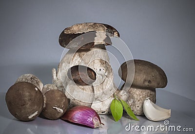 Fresh healthy happy family of mushrooms cep porcini boletus edulis with basil herb, garlic and shallot Stock Photo