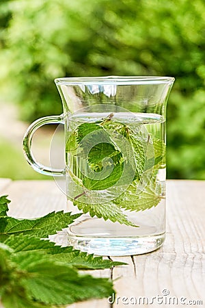 Fresh herbal nettle tea with fresh leaves Stock Photo