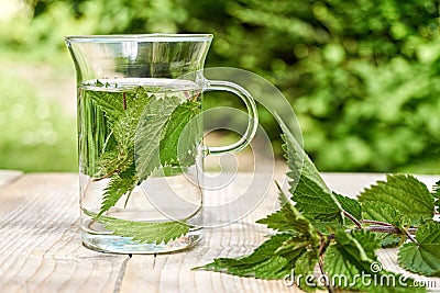 Fresh herbal nettle tea with fresh leaves Stock Photo