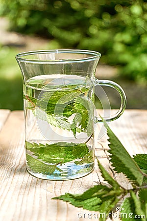 Fresh herbal nettle tea with fresh leaves Stock Photo