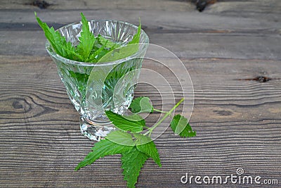 Fresh herbal nettle tea and fresh nettle leaves. A cup of nettle tea with fresh nettles on the table Stock Photo