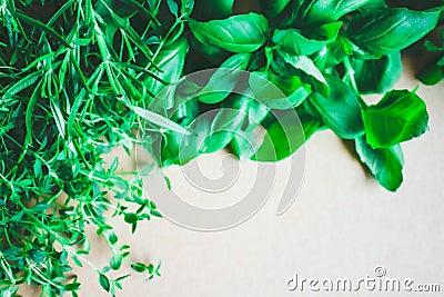 Fresh herbs background Stock Photo