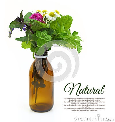 Fresh herbs in a medical bottle Stock Photo