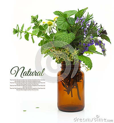 Fresh herbs in a medical bottle Stock Photo