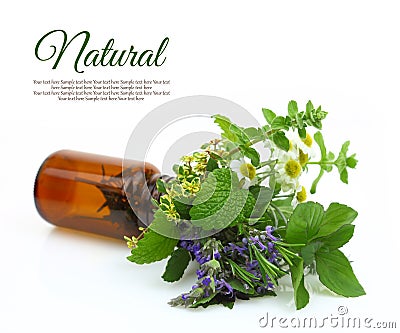 Fresh herbs in a medical bottle Stock Photo