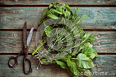 Fresh herbs Stock Photo