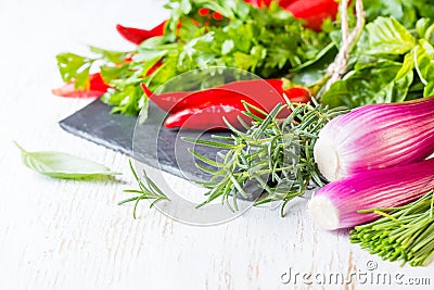 Fresh herbs, oil and seasoning. healthy food concept Stock Photo