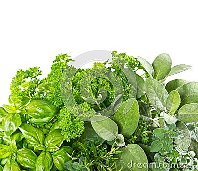 Fresh herbs over white background. Healthy food ingredients Stock Photo