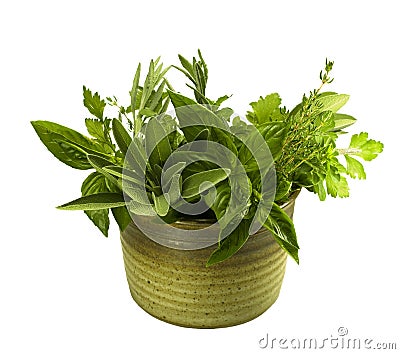 Fresh herbs in pottery Stock Photo