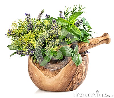 Fresh herbs and spices mint, basil, dill, rosemary, sage, lavend Stock Photo