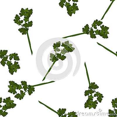 Fresh herbs and spices seasonings seamless pattern Vector Illustration