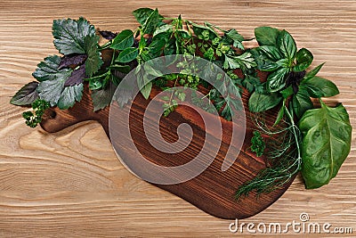 Fresh herbs on wooden cutboard Stock Photo