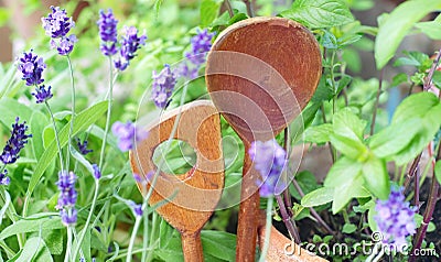 Fresh herbs and wooden spoons,natural, organic, seasonal ingredients, healthy food Stock Photo