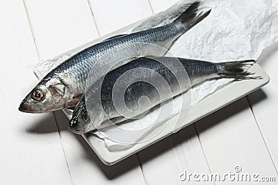 Fresh herring Stock Photo