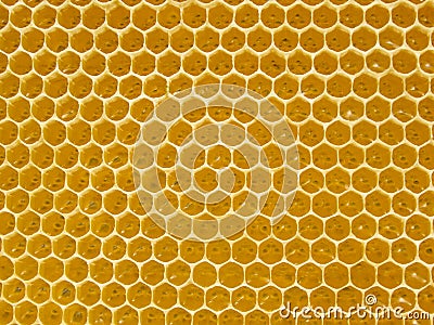 Fresh Honey In Comb. Beewax comb structure abstract pattern. Yellow Honey cells texture background Stock Photo