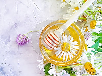 Fresh honey flowe natural nutrition dessert delicious clover, chamomile on gray concrete background Stock Photo
