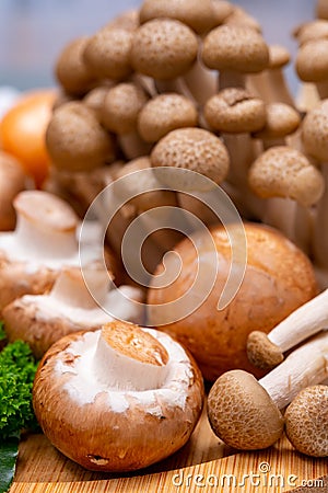 Fresh ingredients for tasty vegetarian mushrooms soup, brown champignons, buna shimeji, carrots Stock Photo