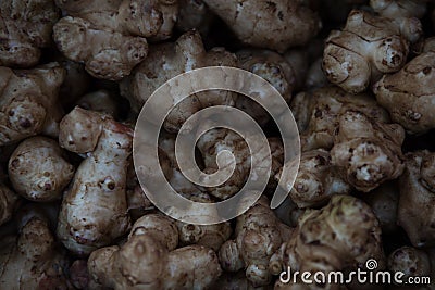 Fresh Jerusalem artichoke tubers. Stock Photo