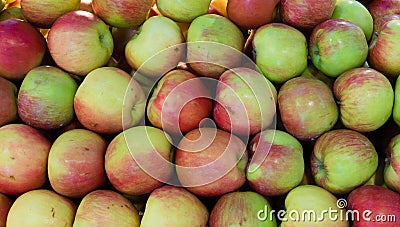 Fresh and juicy apples for sale. Stock Photo