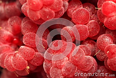Fresh juicy raspberry Stock Photo