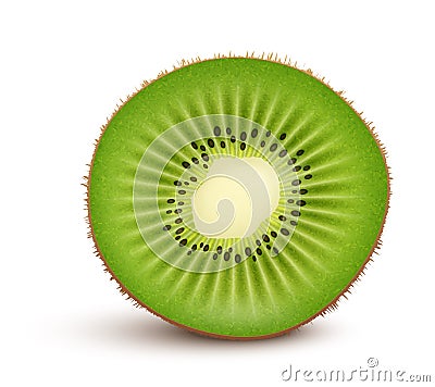 Fresh kiwi fruit Slice Vector Illustration