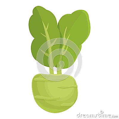 Fresh kohlrabi icon cartoon vector. Healthy food Vector Illustration