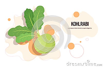 Fresh kohlrabi sticker tasty vegetable icon healthy food concept horizontal copy space Vector Illustration