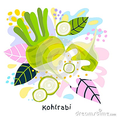 Fresh Kohlrabi vegetable juice splash organic food vegetables condiment spice splatter on abstract coloful splatter Vector Illustration