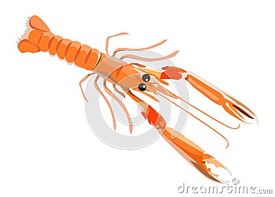 Fresh langoustine icon for menu design isolated on white background, healthy seafood, vector illustration. Vector Illustration