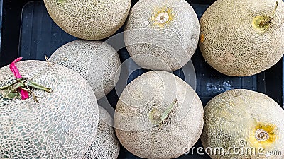 Fresh and large melons are very sweet Stock Photo