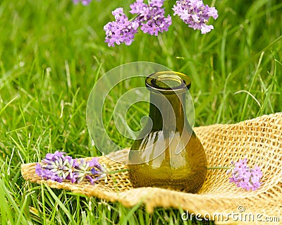 Fresh lavender and aroma oil essence Stock Photo