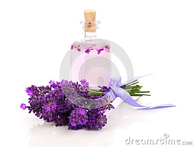 Fresh lavender blossoms with Natural handmade lavender oil Stock Photo