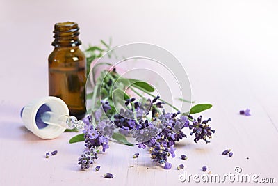 fresh lavender flowers and essential herbal oil in a glass bottle on light rose wood, copy space, close up Stock Photo