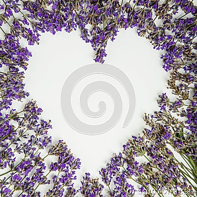 Fresh lavender heart isolated on white background Stock Photo