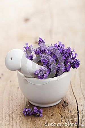 Fresh lavender in mortar Stock Photo