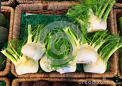 Fresh Fennel in Shop Stock Photo