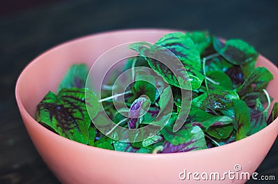 Fresh leafy purple-green spinach in a bowl Stock Photo