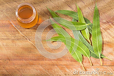 Fresh leaves and eucalyptus oil on the wooden background - Eucalyptus globulus Stock Photo