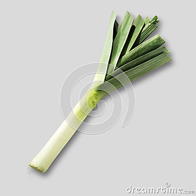 Fresh leek Stock Photo