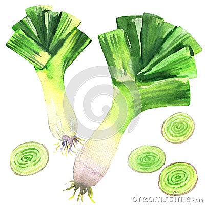 Fresh leek and sliced isolated on white Stock Photo