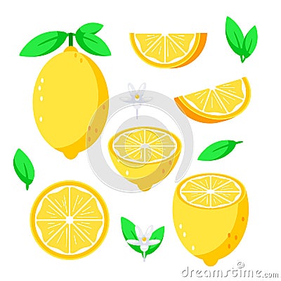 Fresh Lemon Collection Whole, Sliced, and Halved Lemons with Leaves and Flowers. Vector illustration Vector Illustration